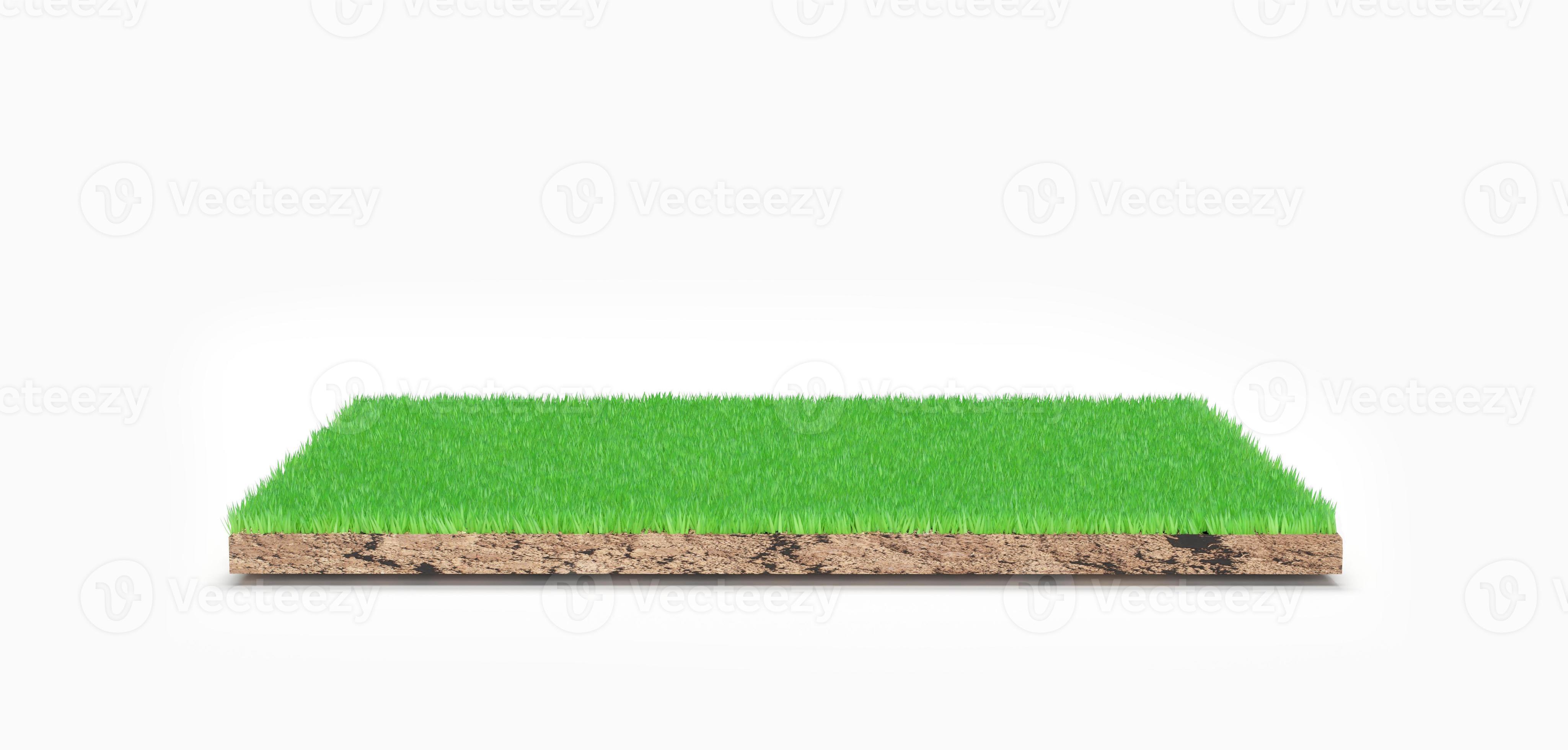 3D rendering. Green grass land piece isolated on background. 6193393 Stock  Photo at Vecteezy