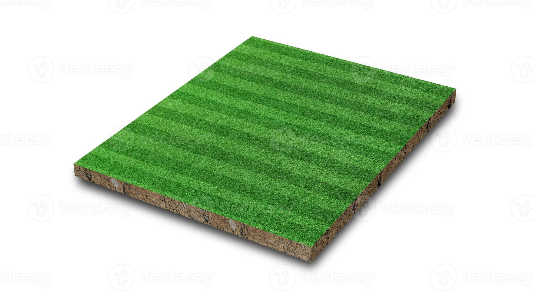 3D Rendering. Stripe grass soccer field, Green lawn football field, isolated on white background. photo