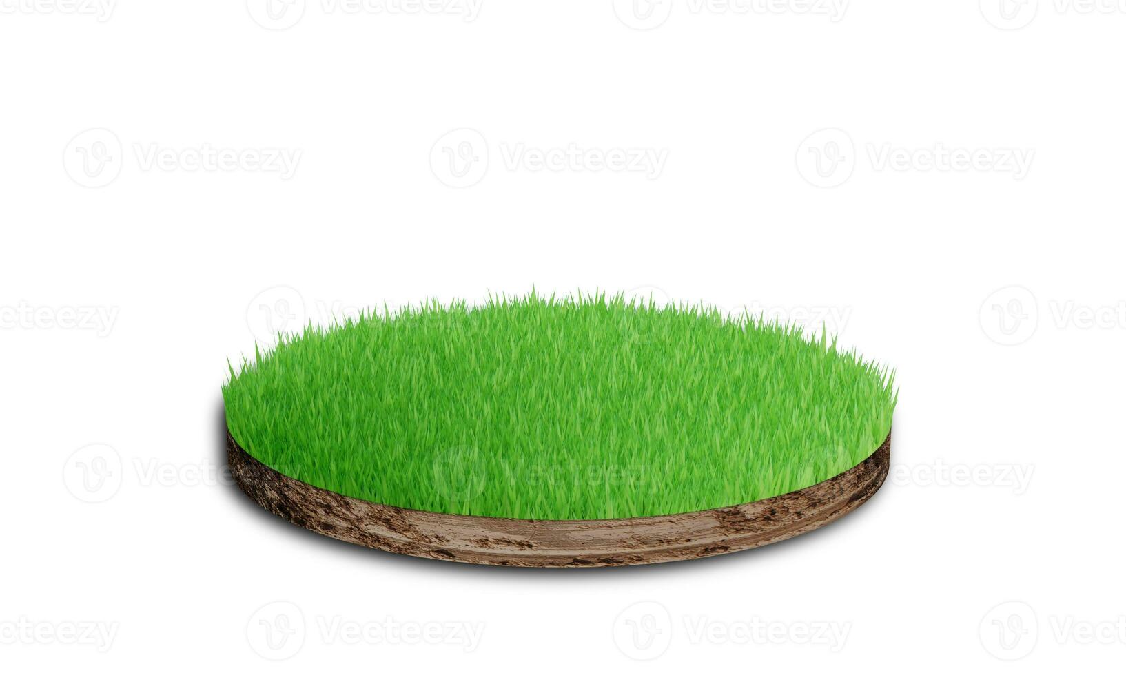 Soil round cross section with grass isolated on white background. 3D rendering photo