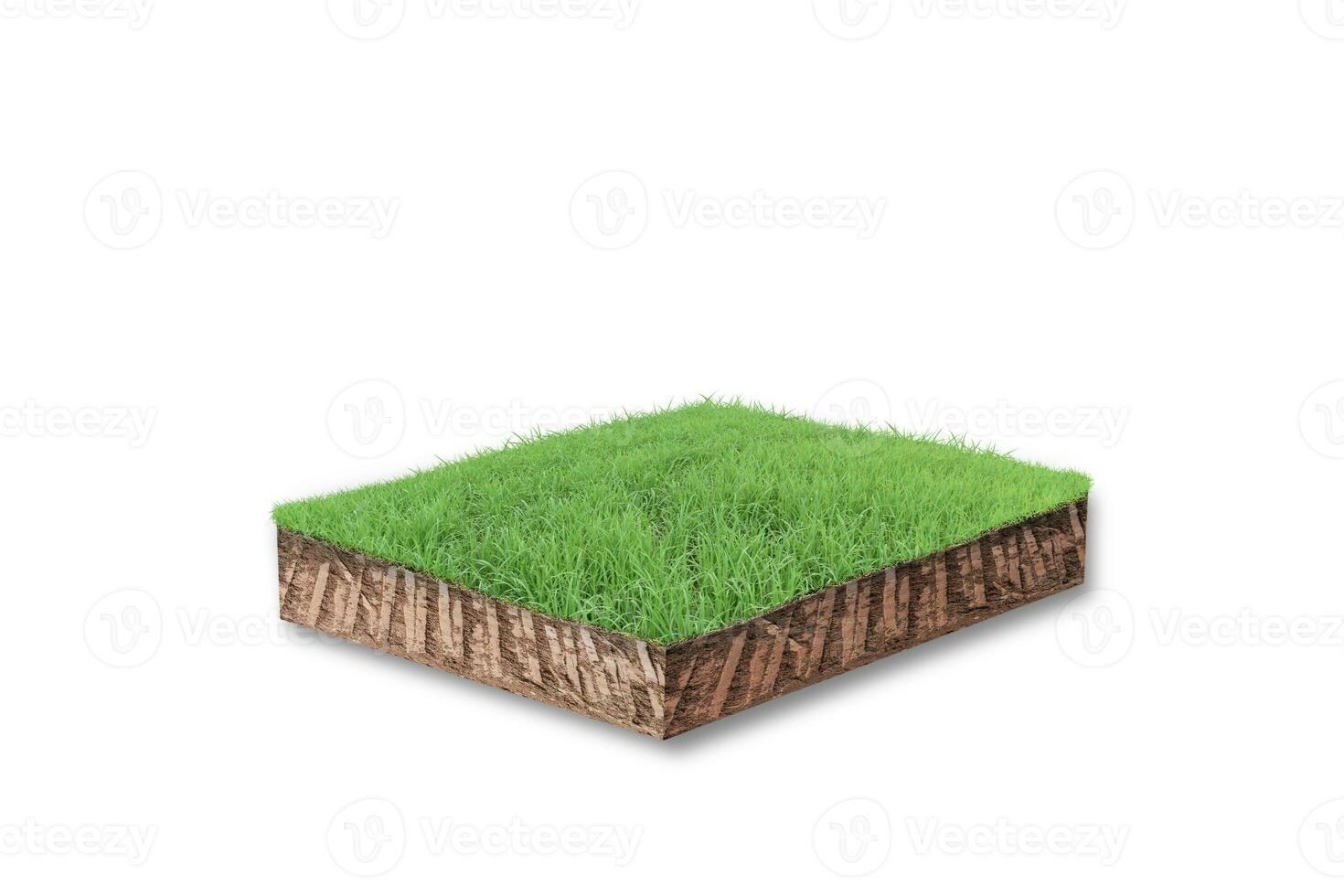 3D render. Soil cubical cross section with green grass isolated on white background photo