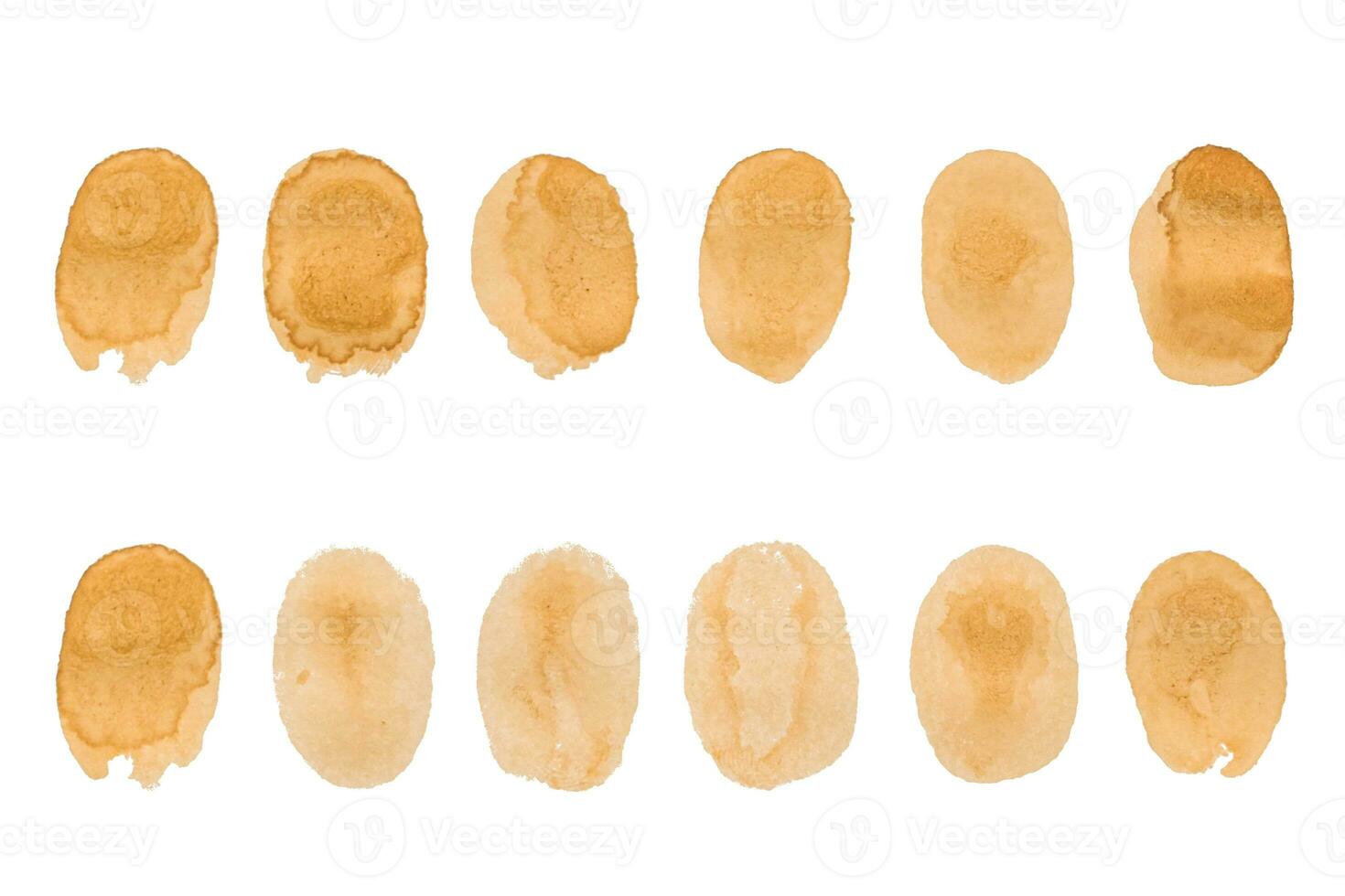 Coffee stains isolated clip art on white background. photo