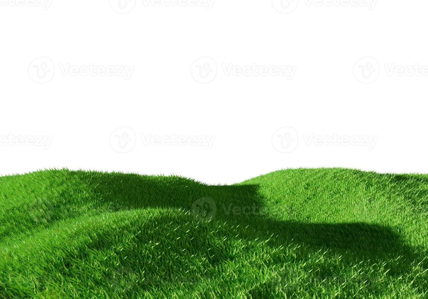 3d rendering. Green grass field isolated on white background. photo