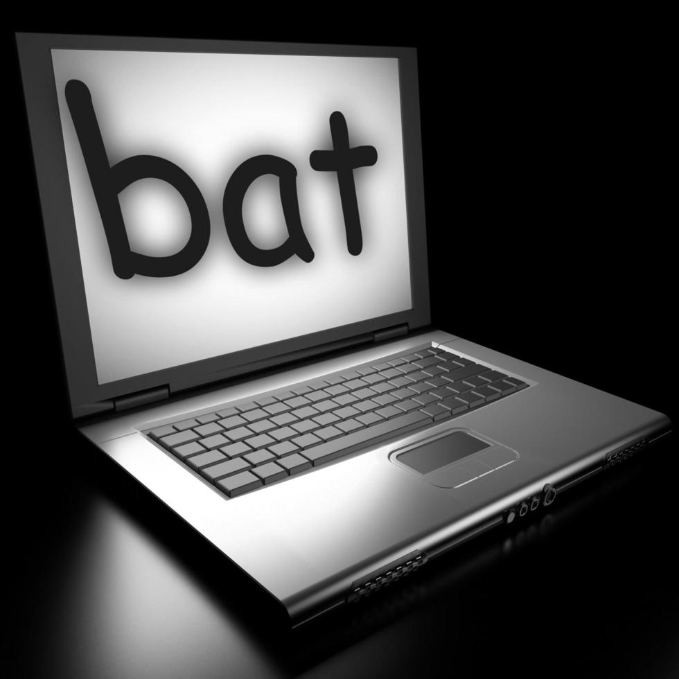 bat word on laptop photo