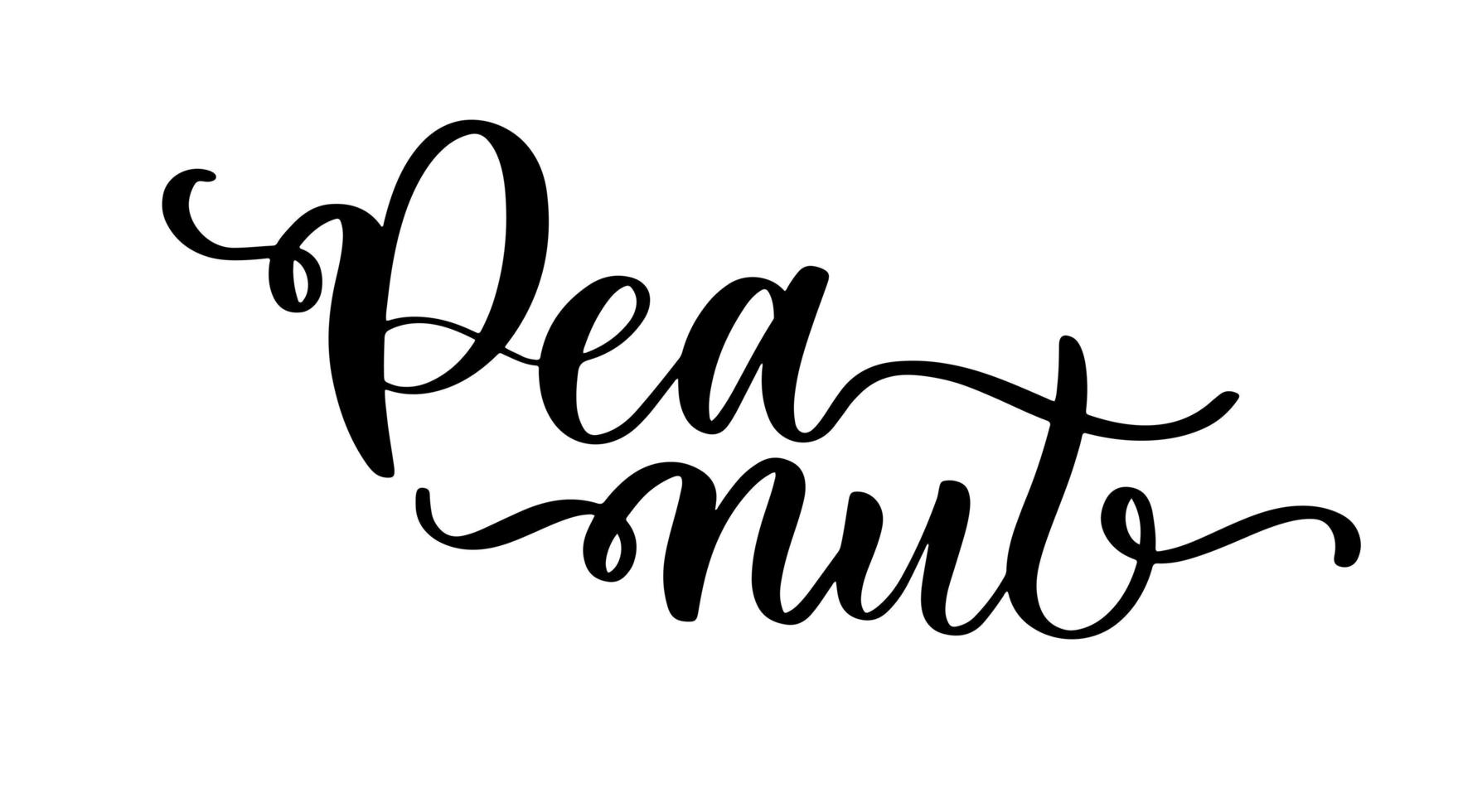 Peanut lettering logo vector illustration design template.