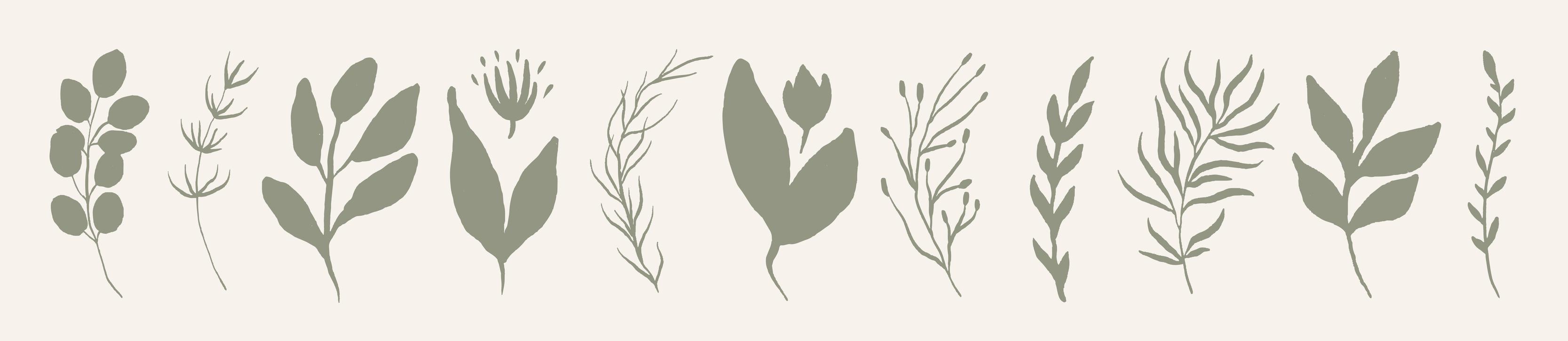 Set of leaves. Hand drawn decorative green leaf element. vector