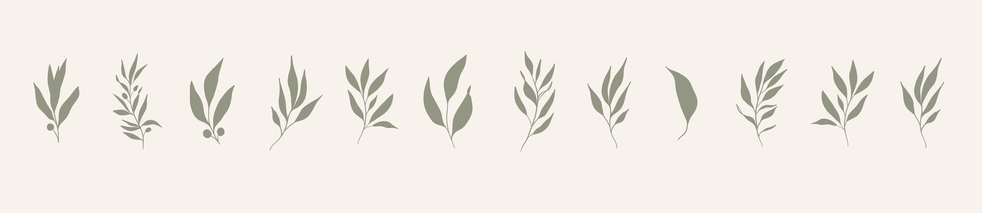 Set of leaves. Hand drawn decorative green leaf element. vector