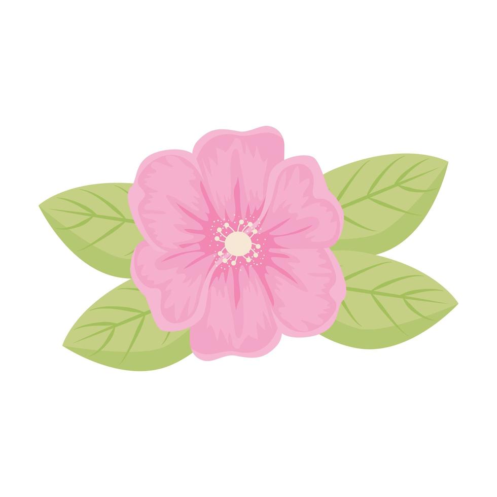 pink flower with leaves vector design