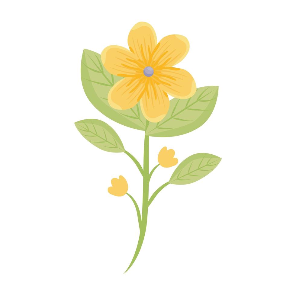 yellow flowers with leaves vector design