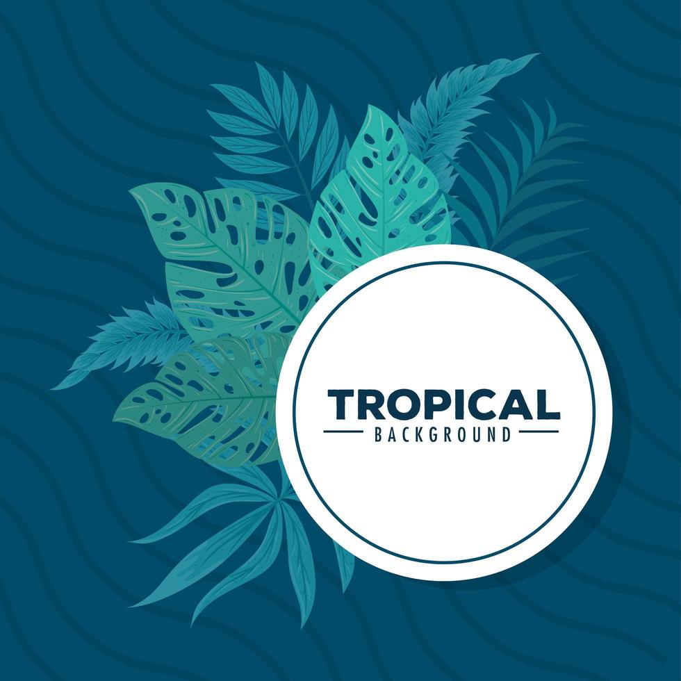 tropical background, frame circular with branches and tropical leaves vector