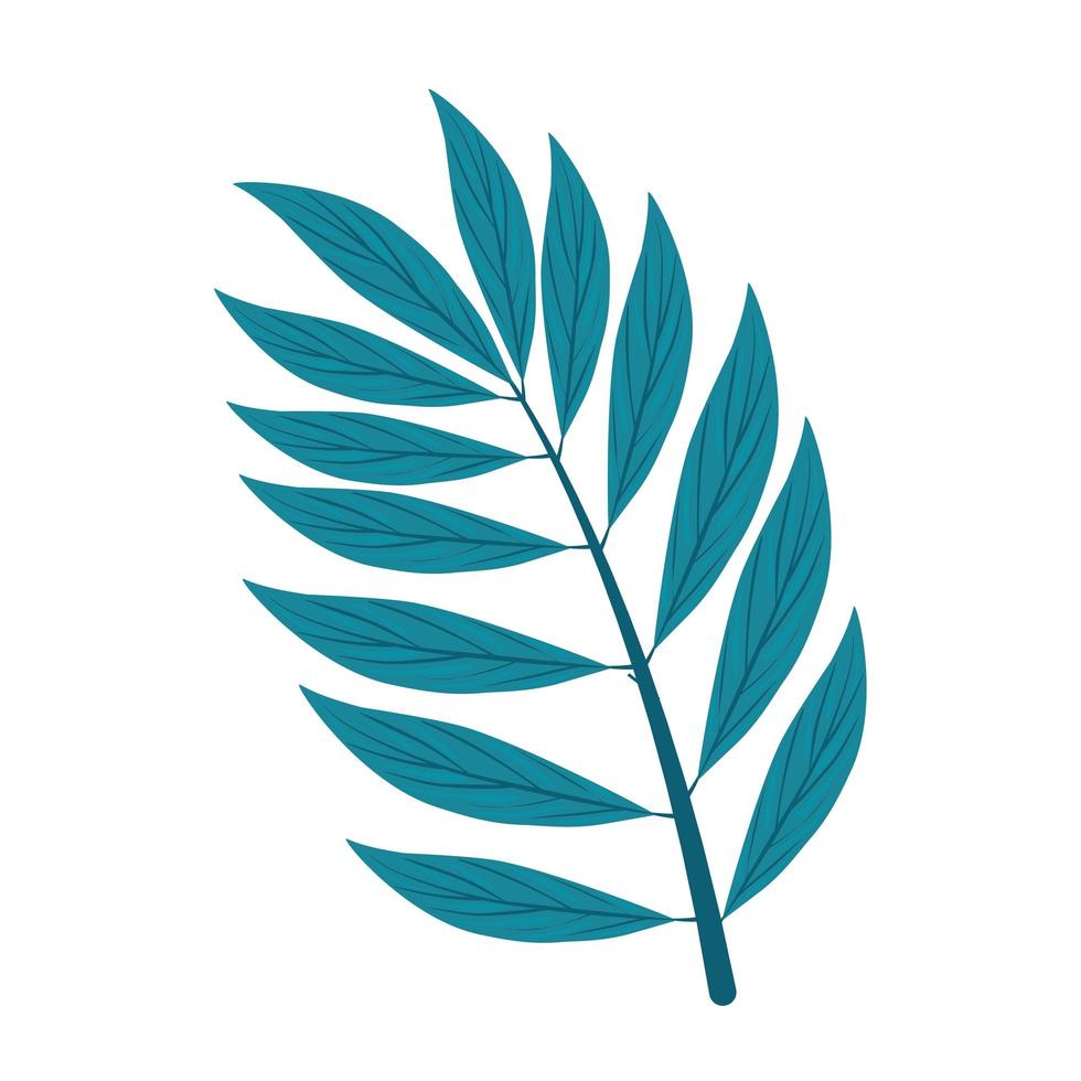 branch with leaves on white background vector