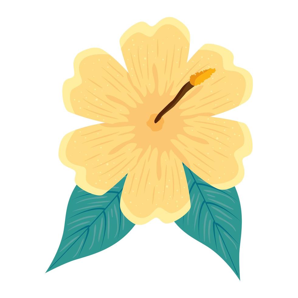 hibiscus beautiful yellow color, with tropical leaves, spring summer botanical vector