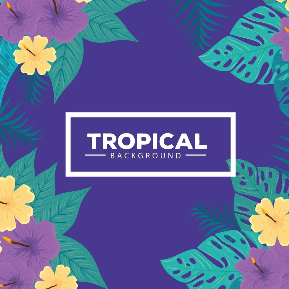 fondo tropical, color amarillo hibisco y morado, con ramas y plantas de hojas vector