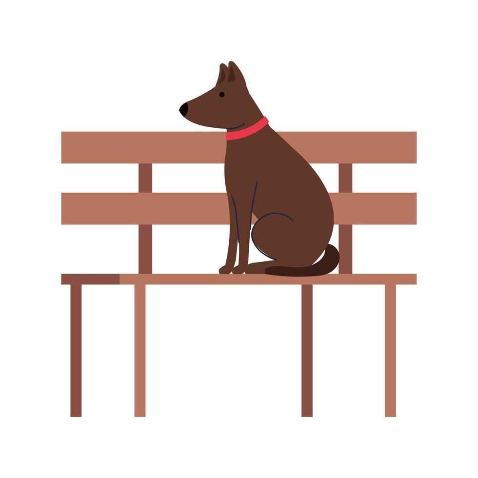 cute dog pet in park chair, on white background vector