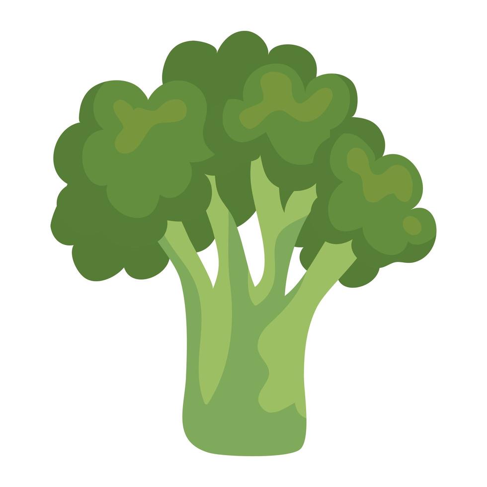 Diseño de vector vegetal de brócoli aislado