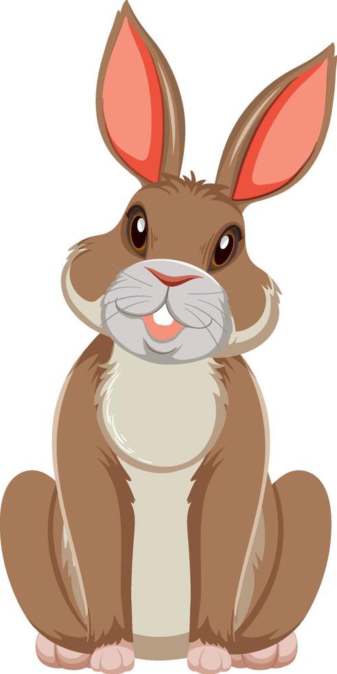 Brown bunny sitting on white background vector