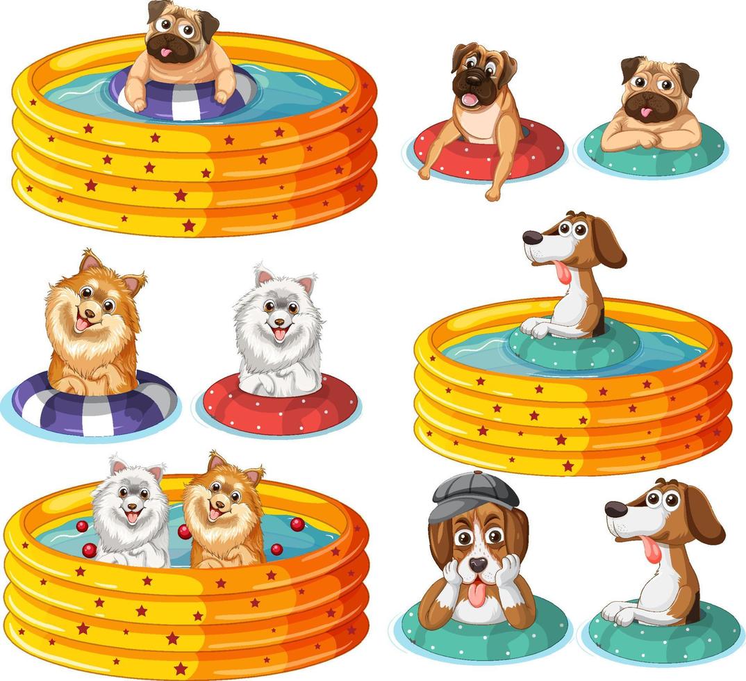 Cute puppy dogs party in rubber swimming pool vector