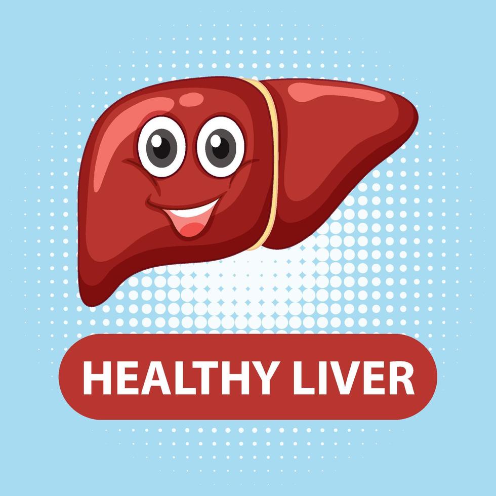 Healthy liver cartoon character vector