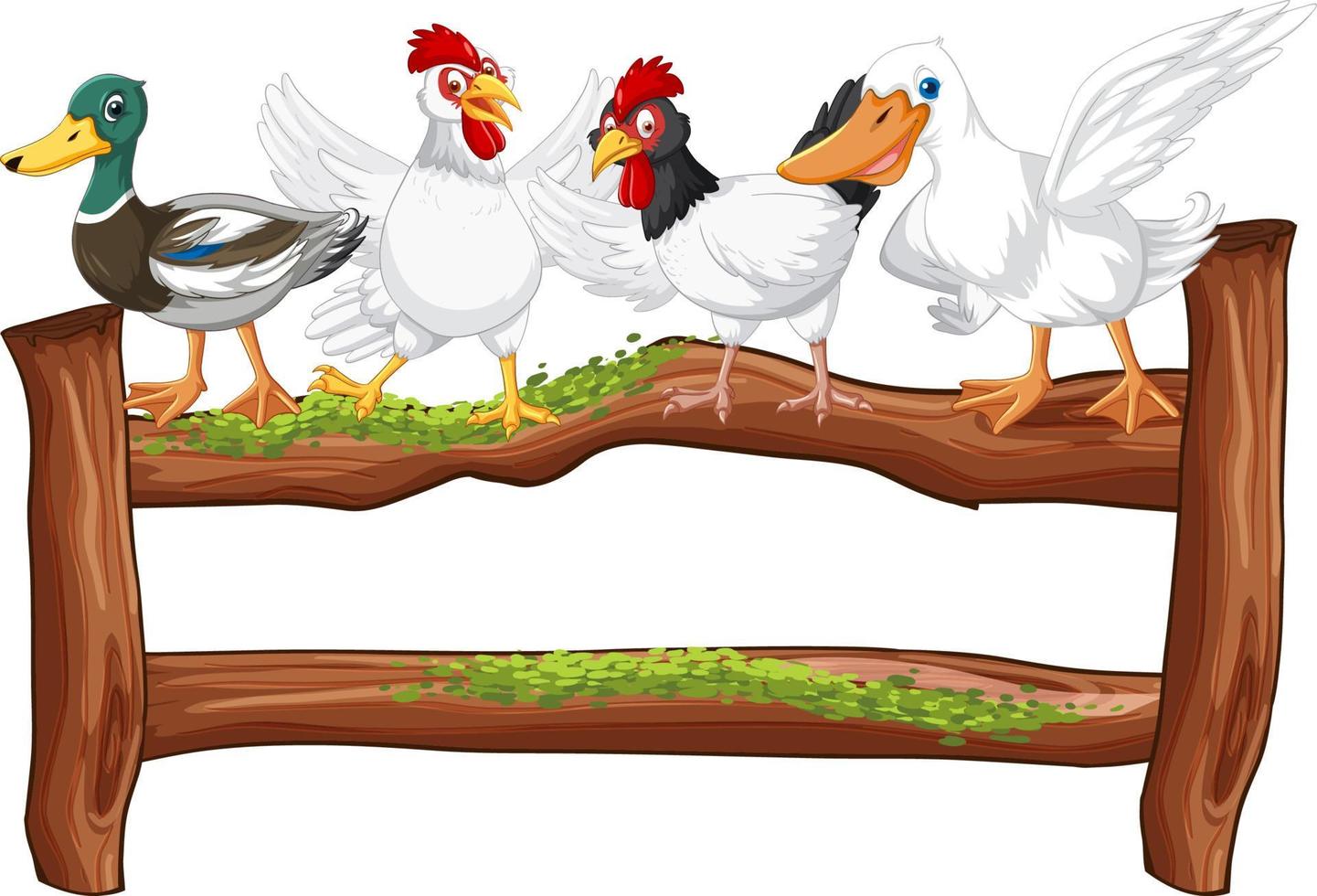 Fence with poultry on white background vector