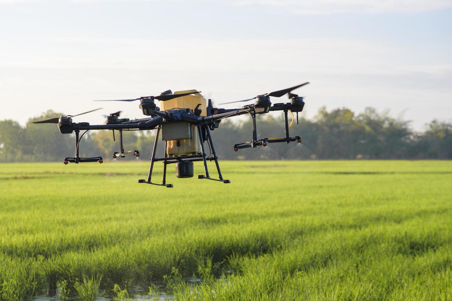 Agriculture drone flying and spraying fertilizer and pesticide over farmland,High technology innovations and smart farming photo