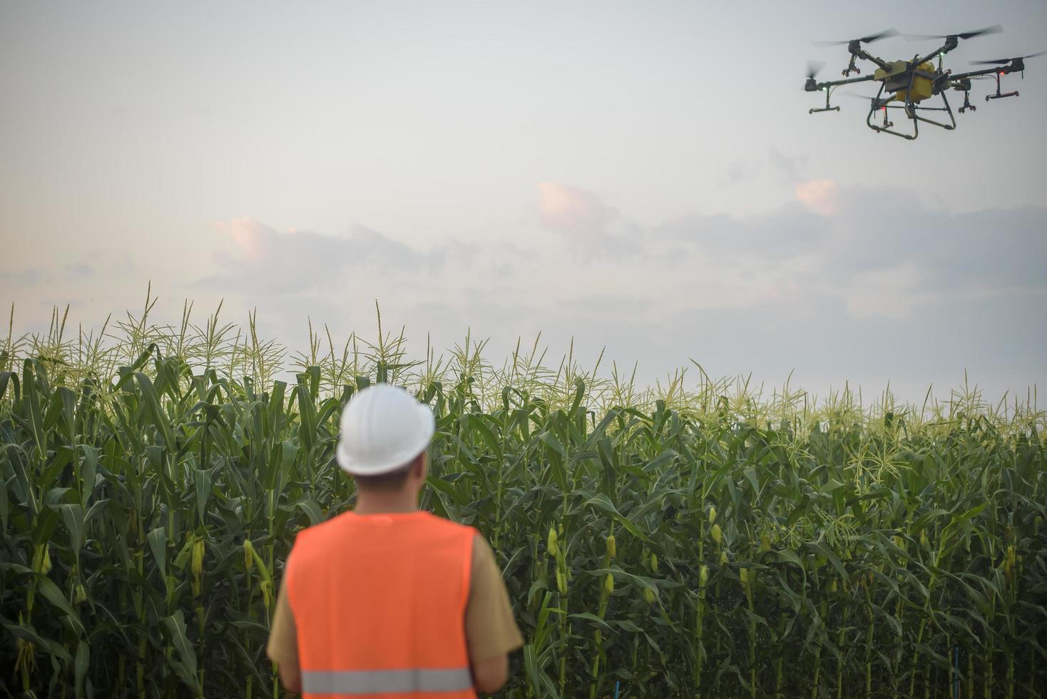 ingeniero masculino que controla la fumigación de fertilizantes y pesticidas con drones sobre tierras de cultivo, innovaciones de alta tecnología y agricultura inteligente foto