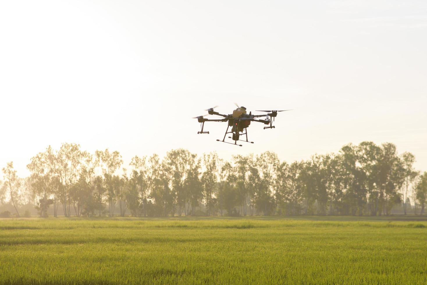 Agriculture drone flying and spraying fertilizer and pesticide over farmland,High technology innovations and smart farming photo