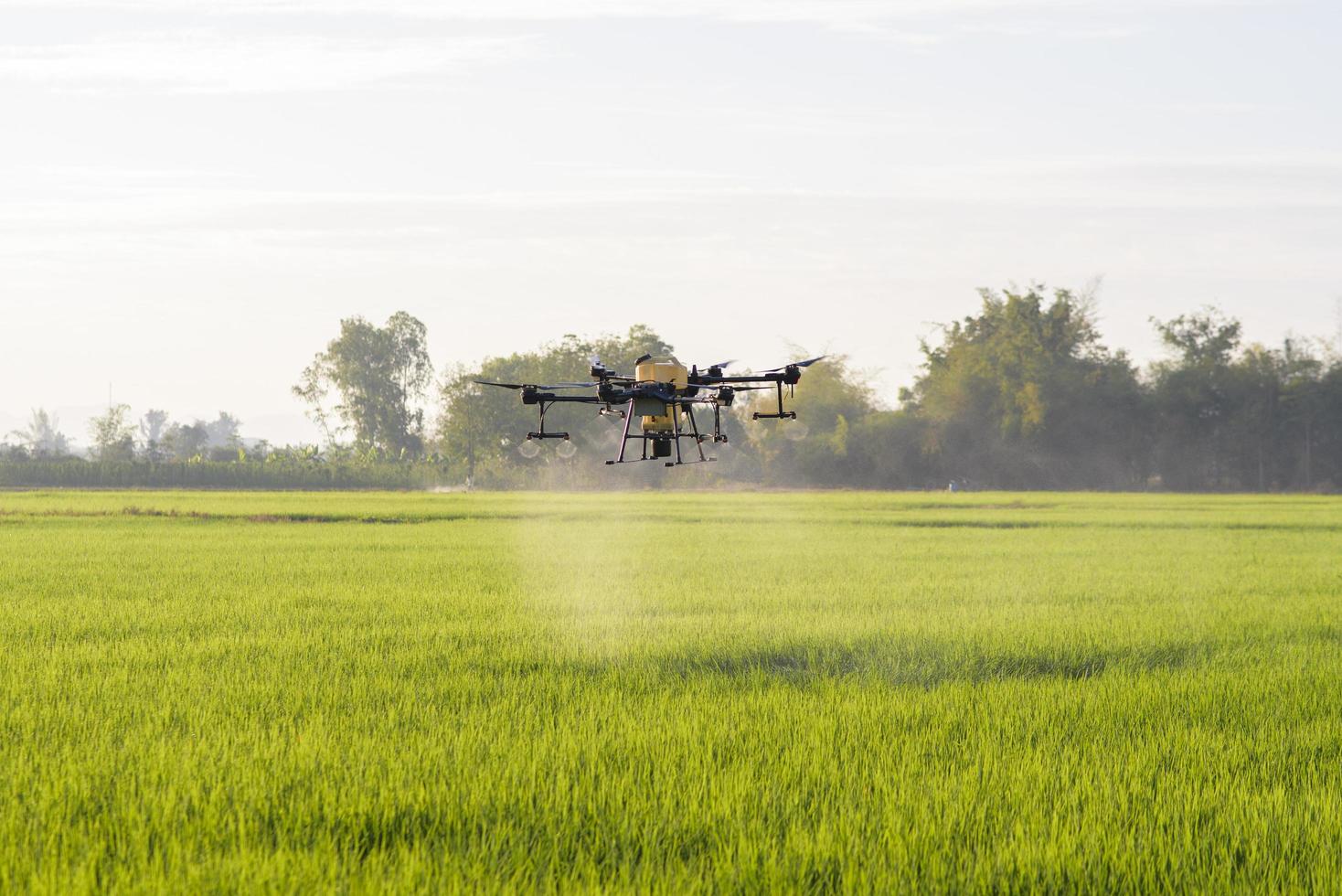 drones agrícolas volando y rociando fertilizantes y pesticidas sobre tierras de cultivo, innovaciones de alta tecnología y agricultura inteligente foto