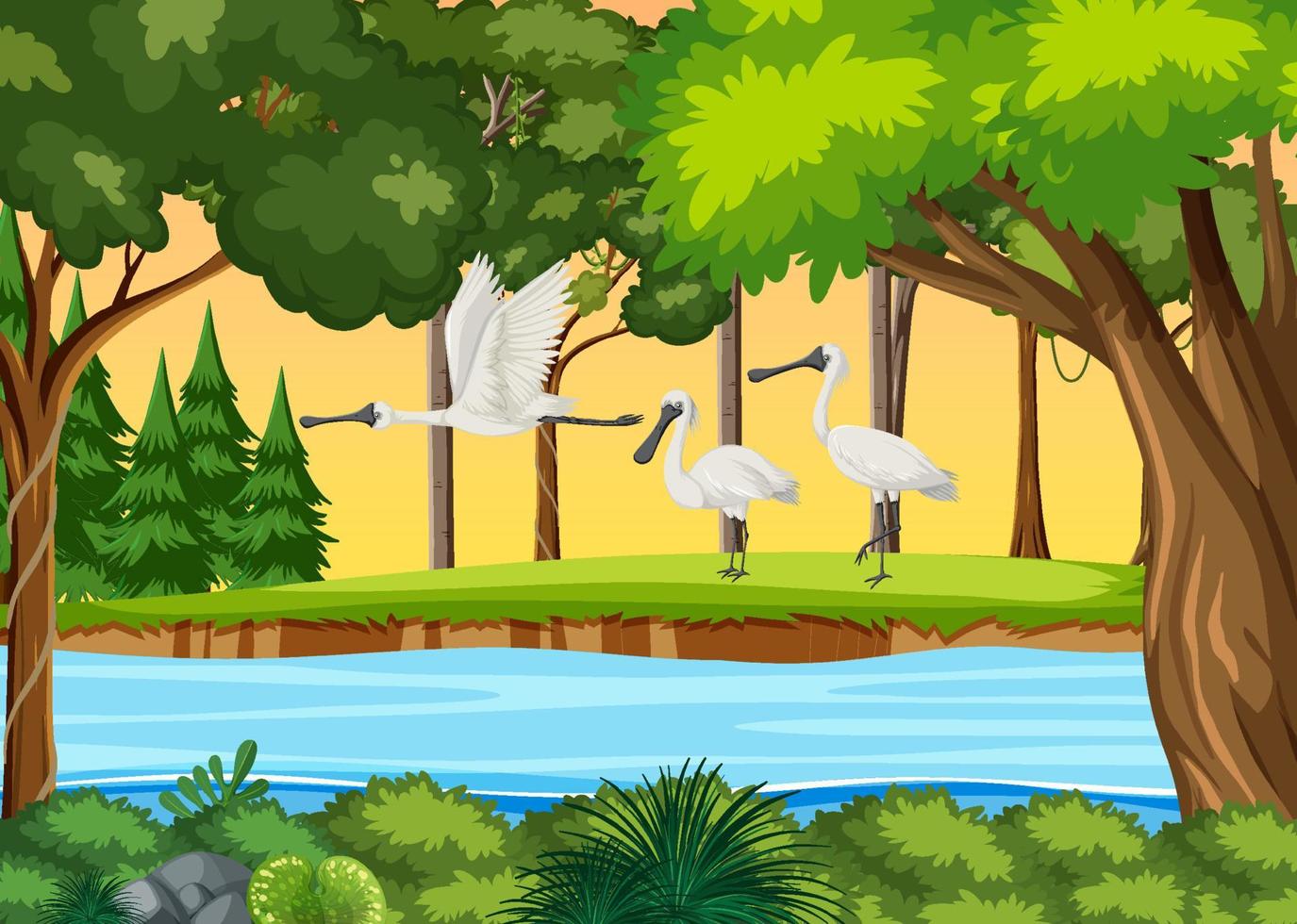 Many spoonbill at the pond vector