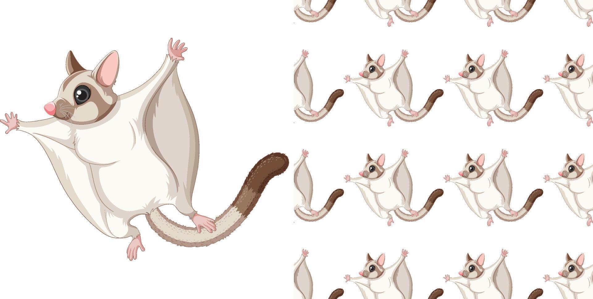 Seamless design of sugar glider  on white background vector