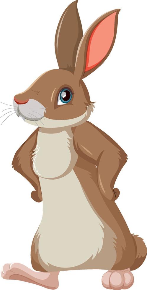 Brown bunny standing on white background vector