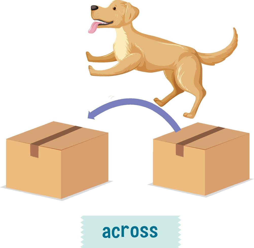 preposición de lugar con perro de dibujos animados y una caja vector