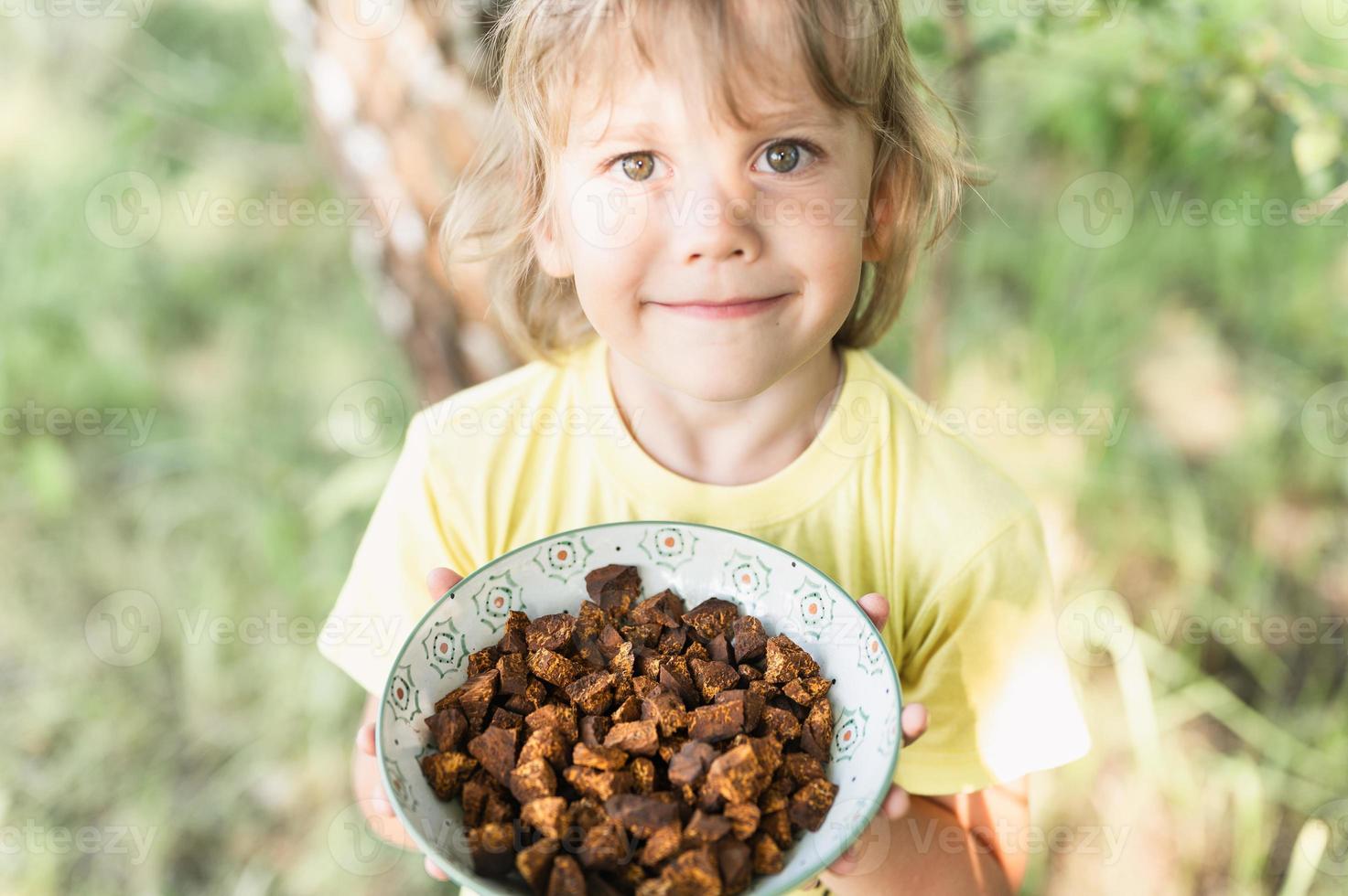 chaga mushroom fungus photo