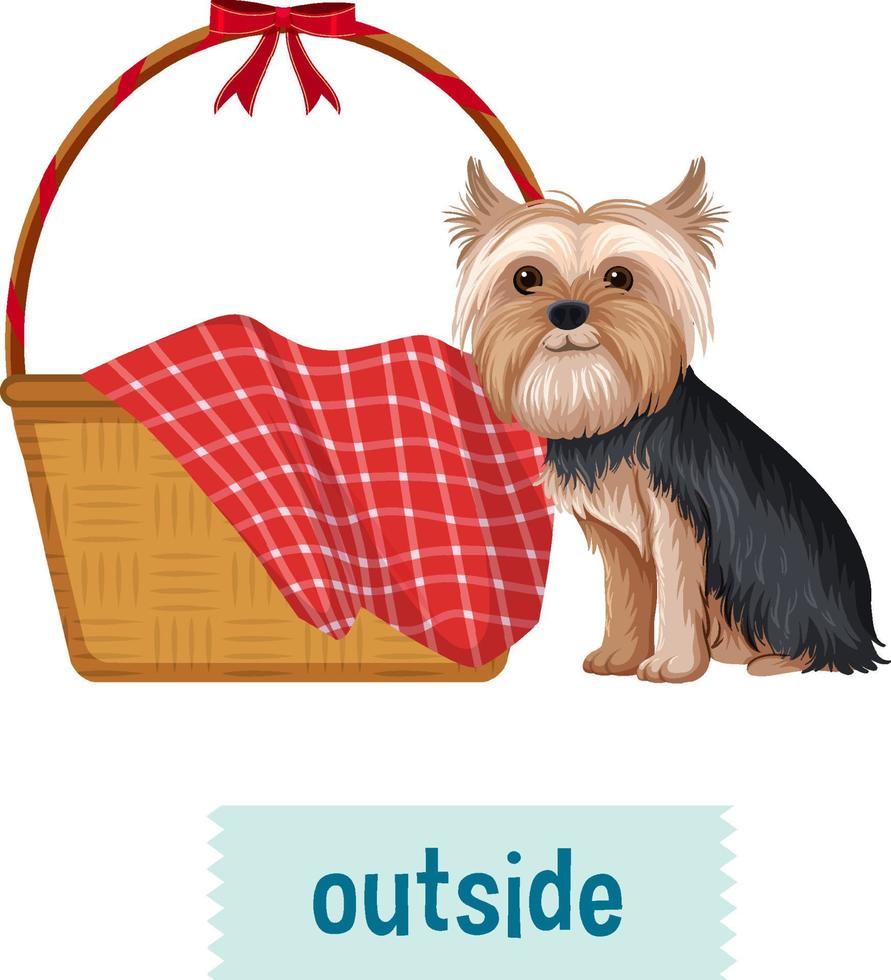 Preposition wordcard with dog and basket vector