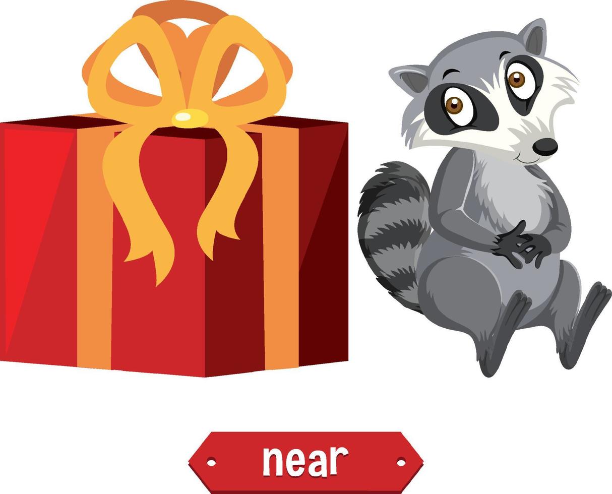 Preposition wordcard design with raccoon near box vector