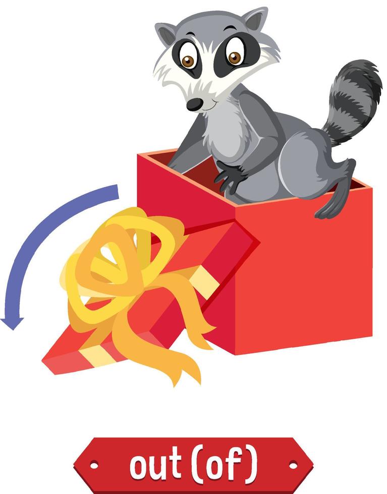 diseño de wordcard de preposición con mapache fuera de la caja vector