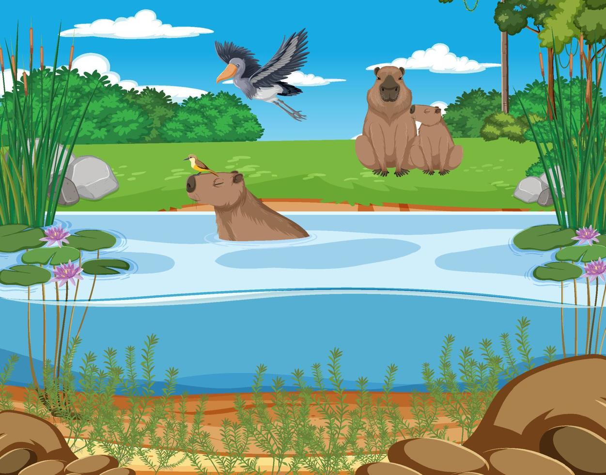Many animal next to river vector