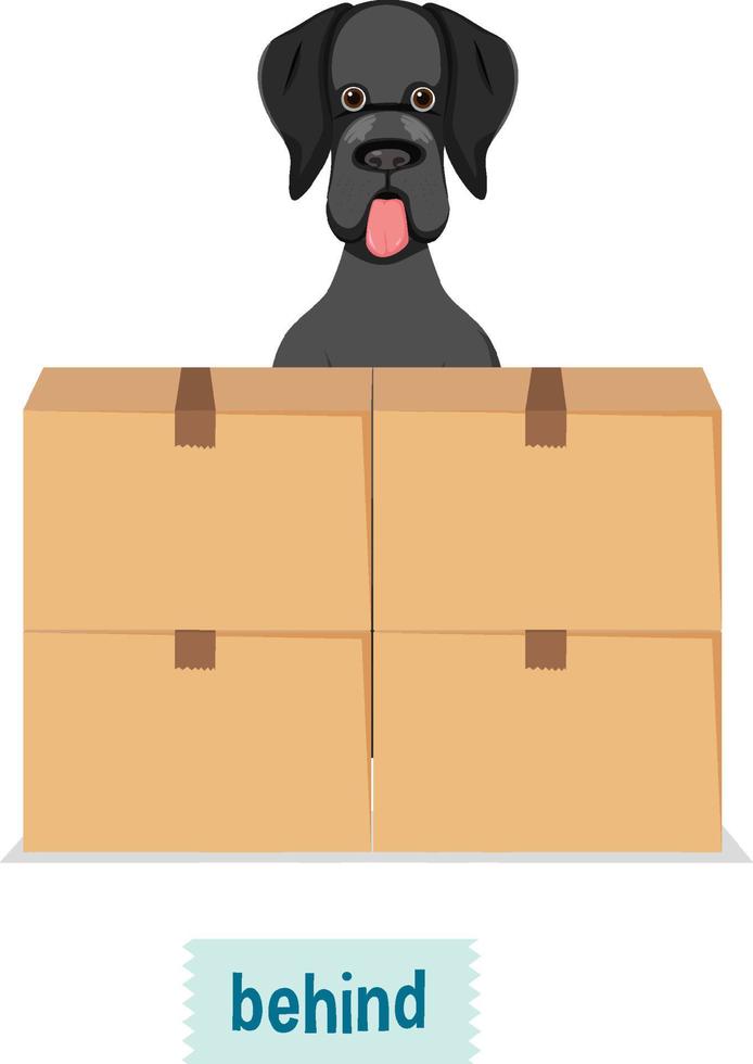 Preposition of place with cartoon dog and a box vector