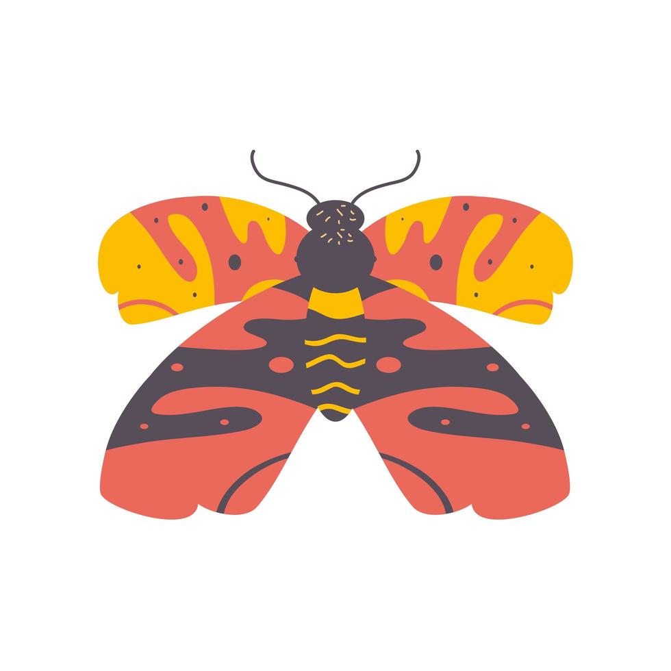 cute butterfly flat vector