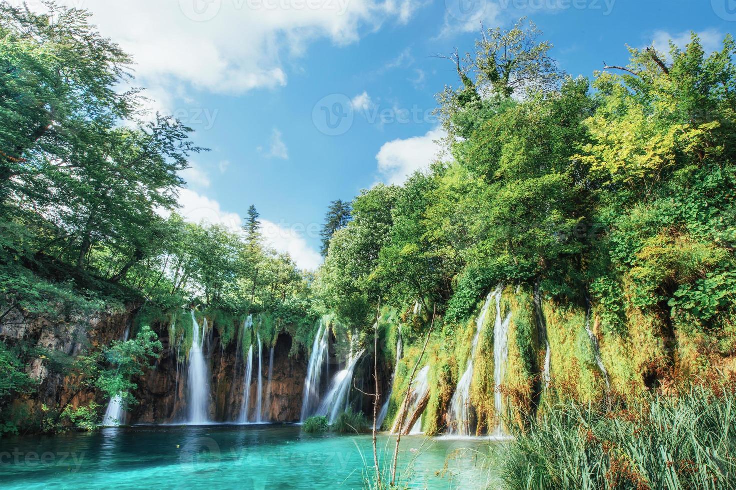 A photo of fishes swimming in a lake, taken in the national park Plitvice Croatia.