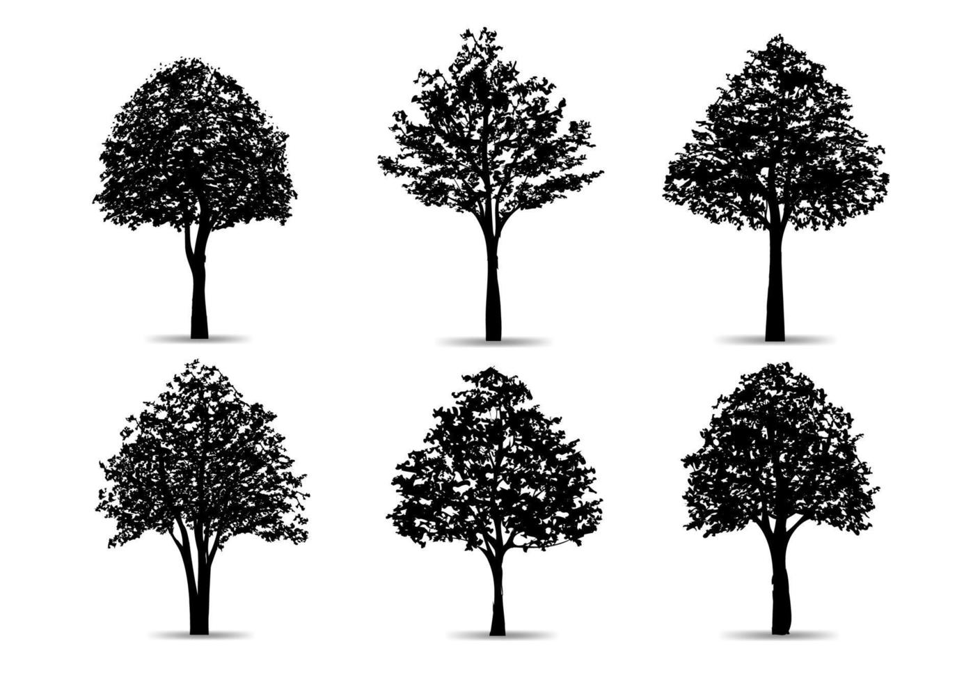 Set of tree silhouettes isolated on white background for landscape design and architectural compositions with backgrounds. Vector. vector