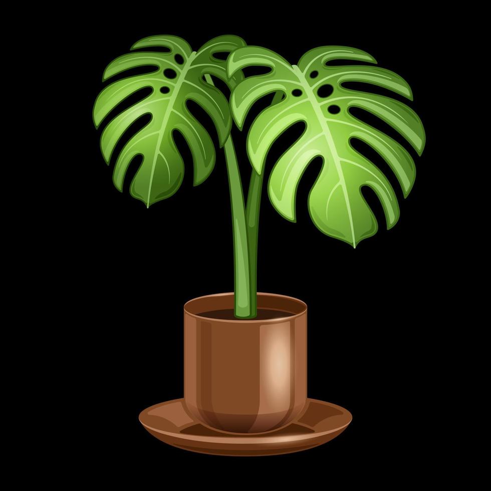 swiss cheese plant in pot realistic cartoon isolated vector