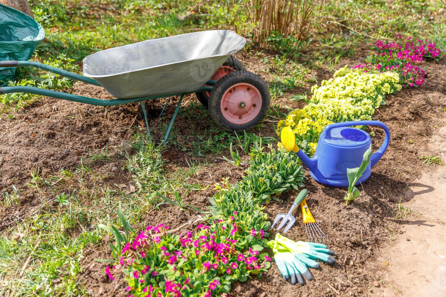 macizo de flores y equipo de jardinero carretilla carrito de jardín regadera rastrillo de jardín en el jardín el día de verano. herramientas de trabajadores agrícolas listas para plantar plántulas o flores. concepto de jardinería y agricultura foto