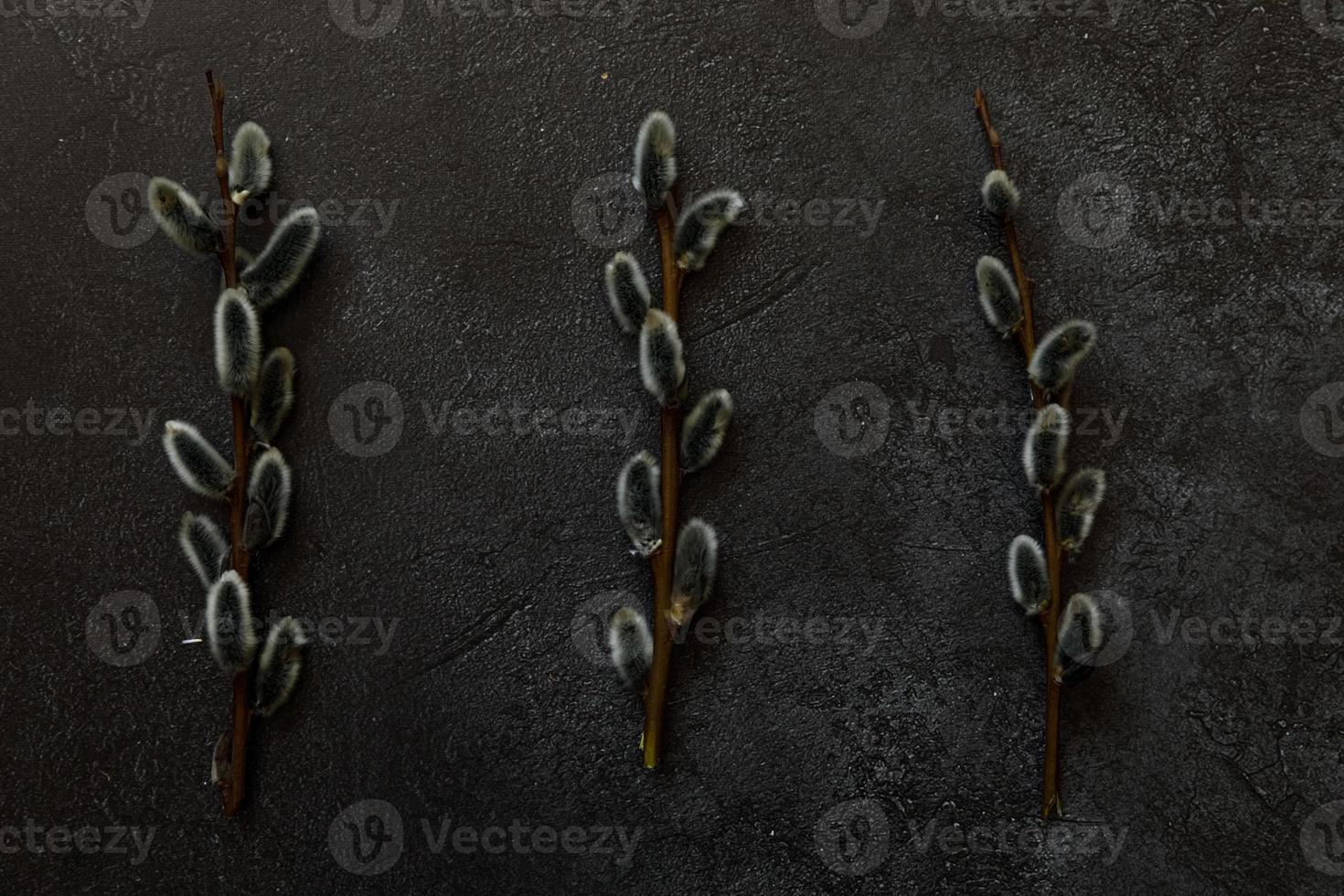 Happy Easter concept. Preparation for holiday. Pussy willow flowers branches on trendy grunge scratched dark black stone shale background. Simple minimalism flat lay top view, copy space photo