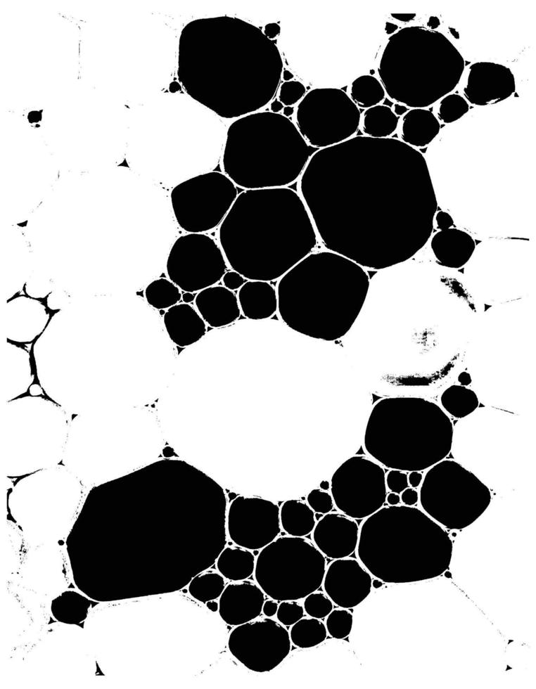 Oil Bubbles Black and White Texture vector