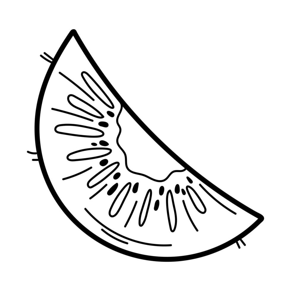 Kiwi hand drawn line icon in doodle style isolated on white background. Design for menu, kitchen, coloring book. vector