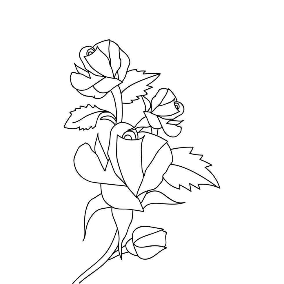 rose flower coloring book page line art illustration vector