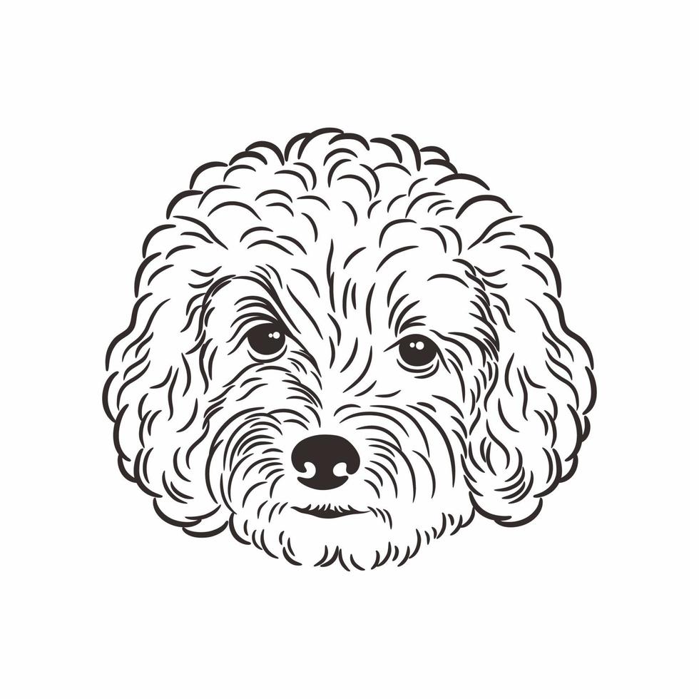 Toy Poodle front face illustration vector