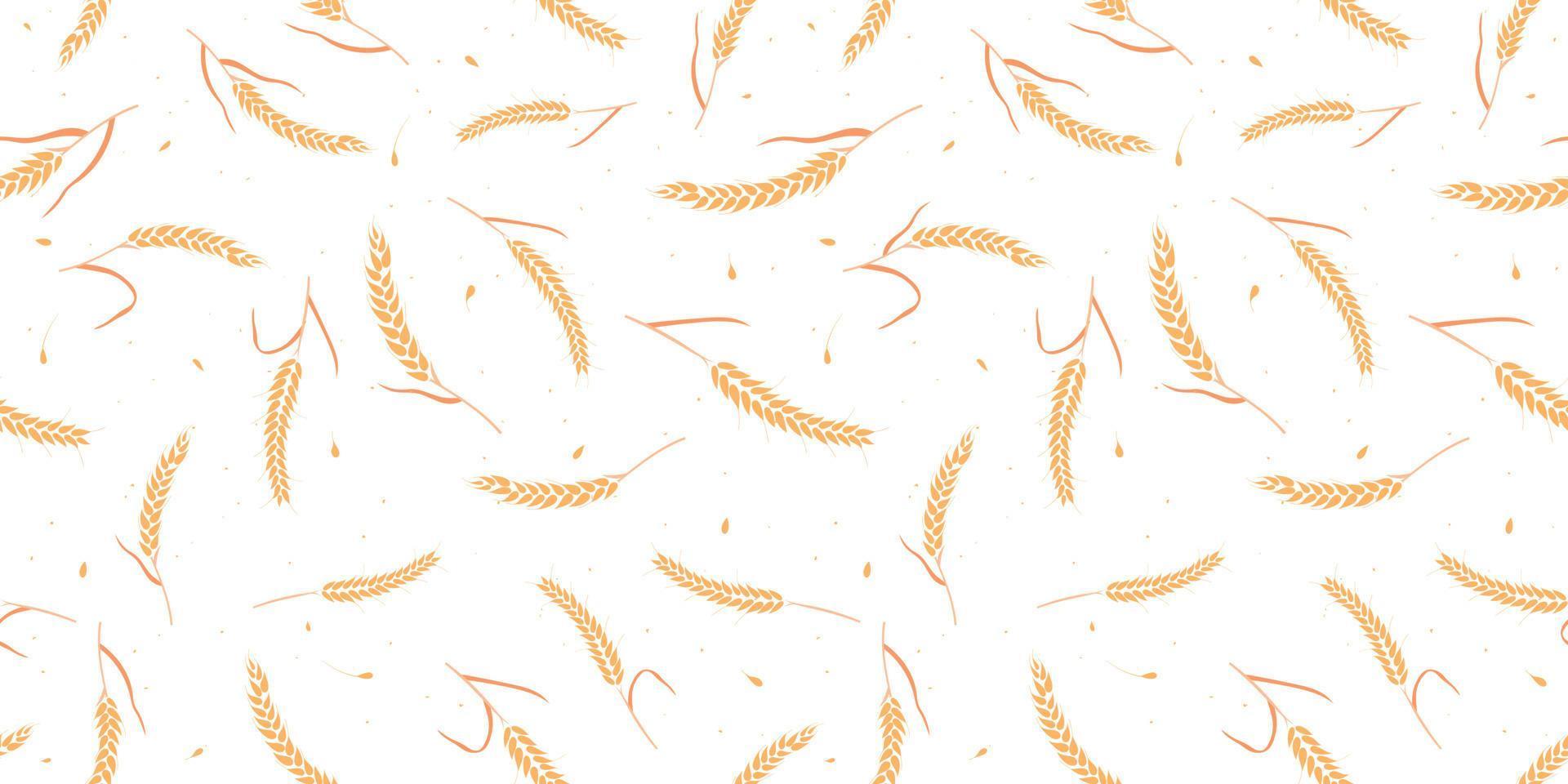 Seamless pattern with whole grain seeds organic, natural ears isolated on white background. vector