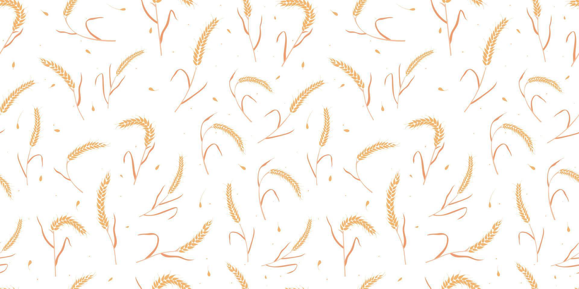 Seamless pattern with whole grain seeds organic, natural ears isolated on white background. vector