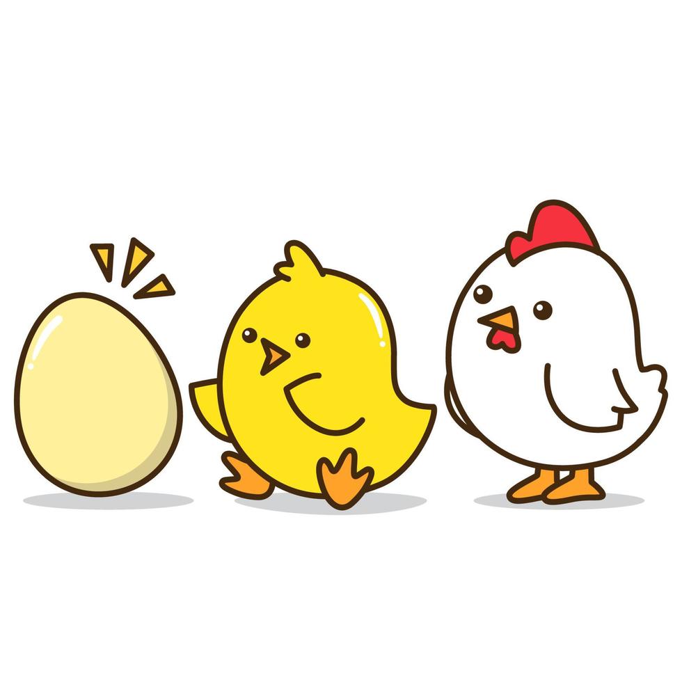 cute chicken growth character from egg vector