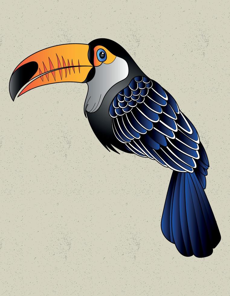 toucan exotic bird vector